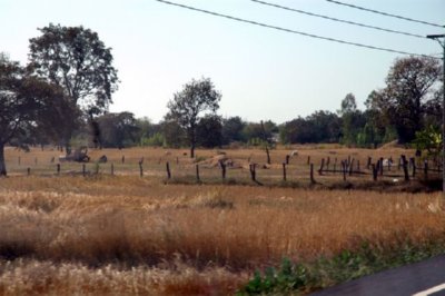 campo (26)  LEADOR BOSQUE